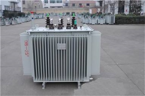 温州S13-3150KVA/35KV油浸式变压器